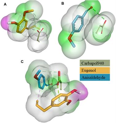 Exploring essential oil-based bio-composites: molecular docking and in vitro analysis for oral bacterial biofilm inhibition